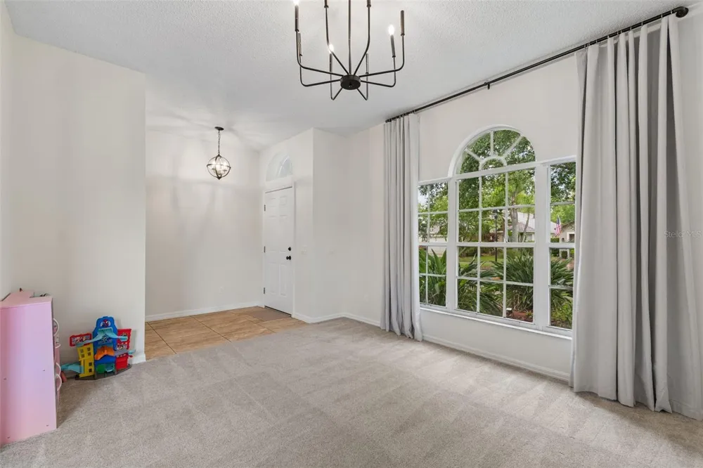 19029 CHEMILLE DRIVE Lutz, FL 33558