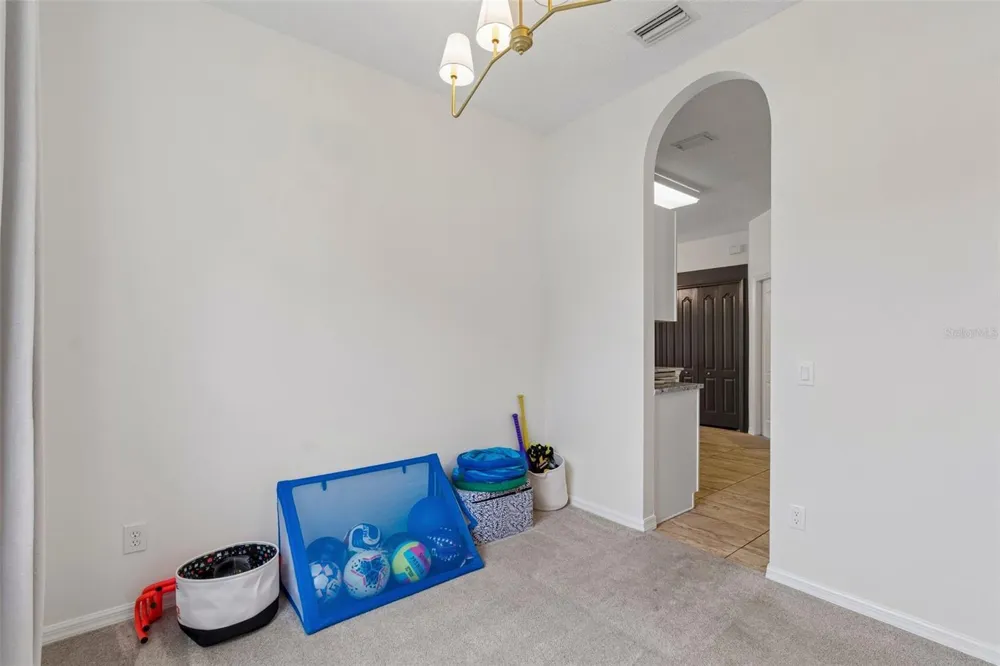 19029 CHEMILLE DRIVE Lutz, FL 33558