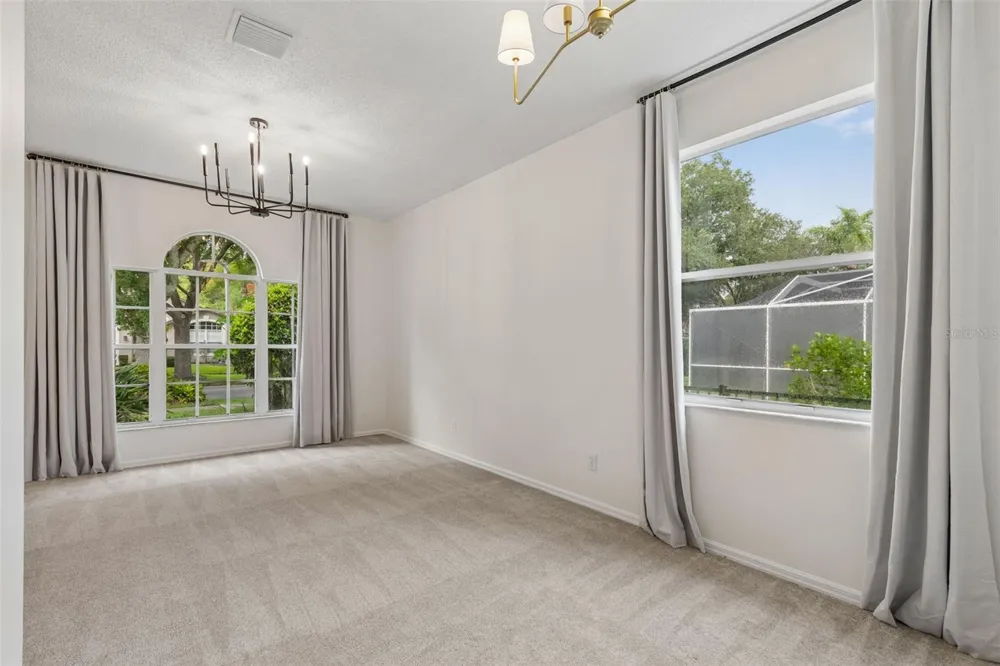 19029 CHEMILLE DRIVE Lutz, FL 33558