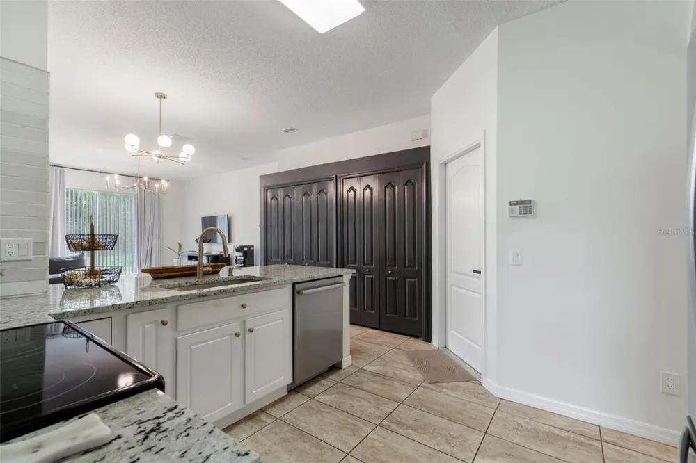 19029 CHEMILLE DRIVE Lutz, FL 33558