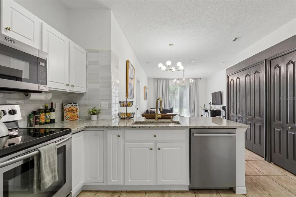 19029 CHEMILLE DRIVE Lutz, FL 33558