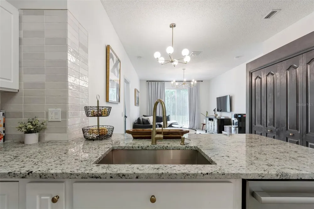 19029 CHEMILLE DRIVE Lutz, FL 33558