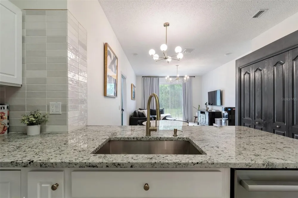 19029 CHEMILLE DRIVE Lutz, FL 33558