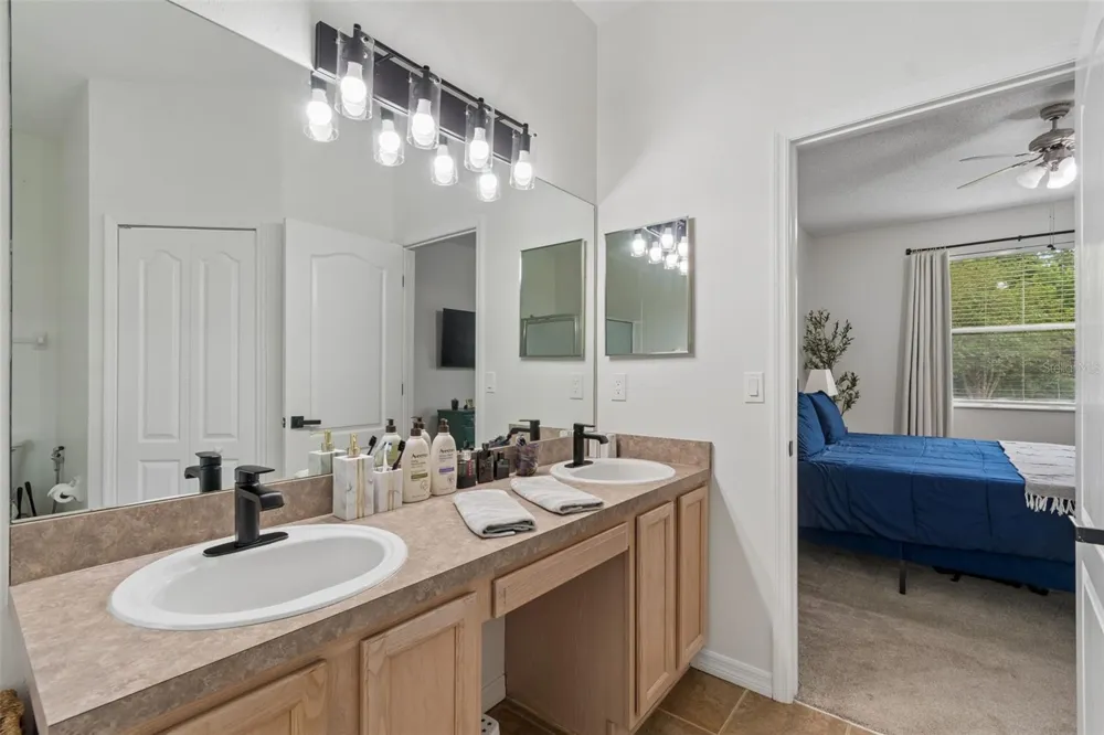 19029 CHEMILLE DRIVE Lutz, FL 33558