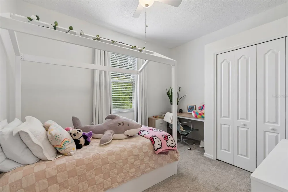 19029 CHEMILLE DRIVE Lutz, FL 33558