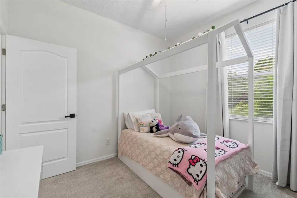 19029 CHEMILLE DRIVE Lutz, FL 33558