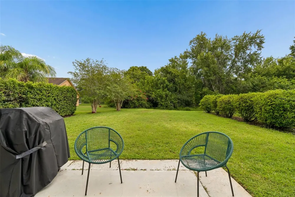 19029 CHEMILLE DRIVE Lutz, FL 33558