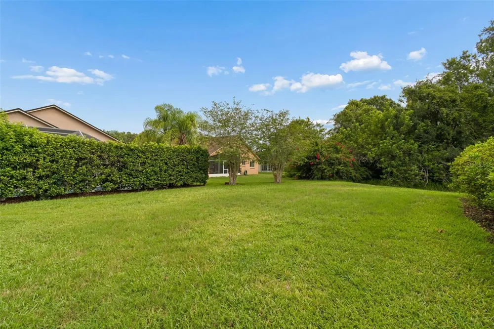 19029 CHEMILLE DRIVE Lutz, FL 33558