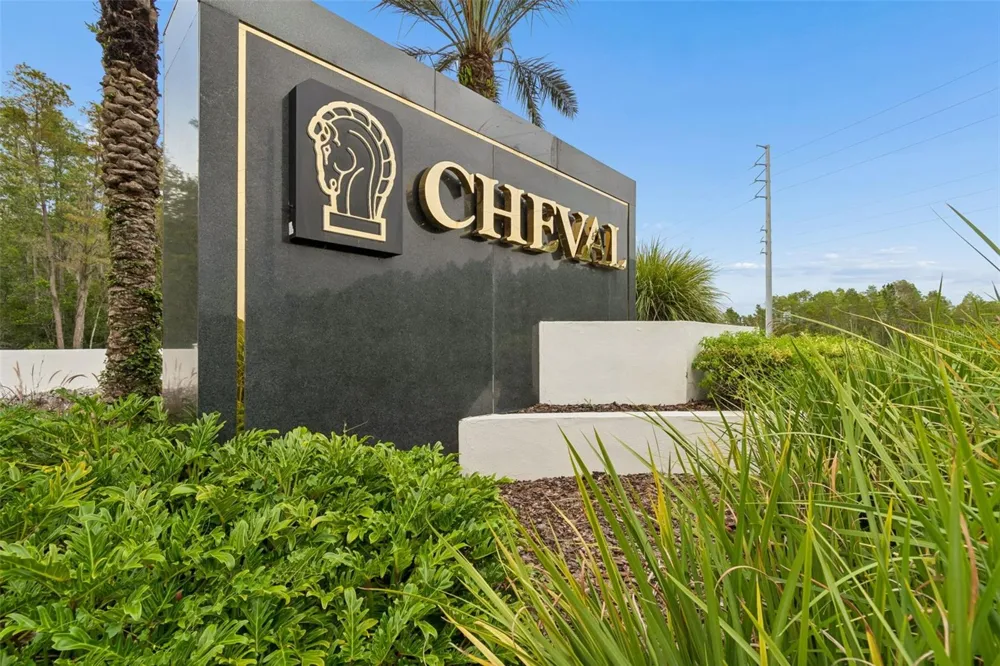 19029 CHEMILLE DRIVE Lutz, FL 33558