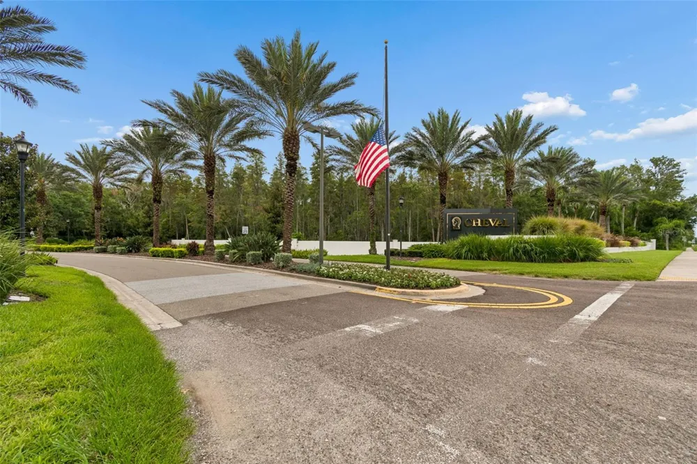 19029 CHEMILLE DRIVE Lutz, FL 33558