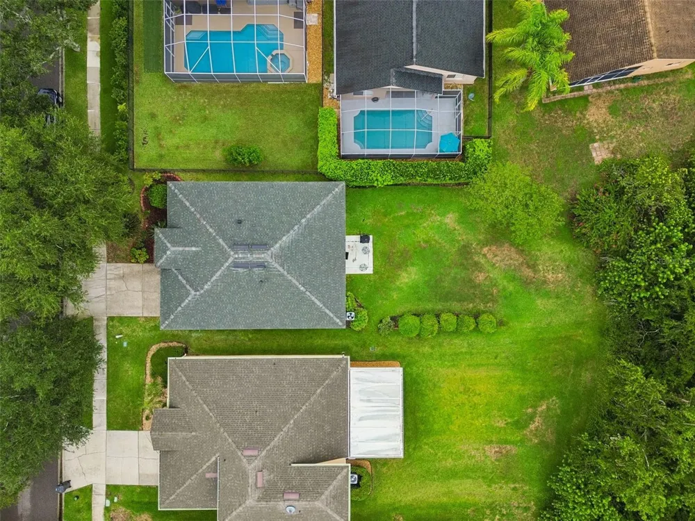 19029 CHEMILLE DRIVE Lutz, FL 33558