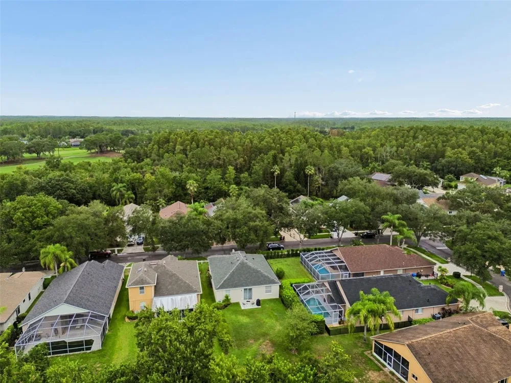 19029 CHEMILLE DRIVE Lutz, FL 33558