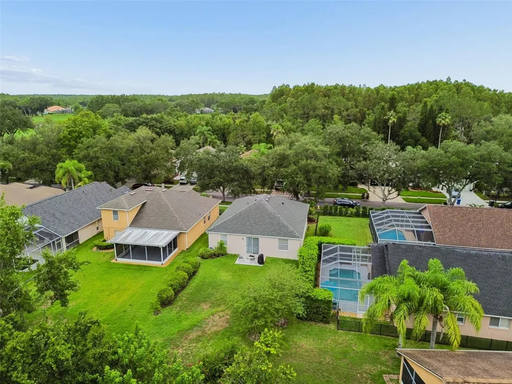 19029 CHEMILLE DRIVE Lutz, FL 33558