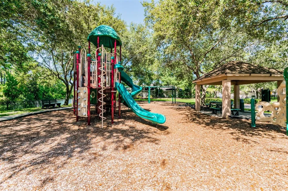 19029 CHEMILLE DRIVE Lutz, FL 33558