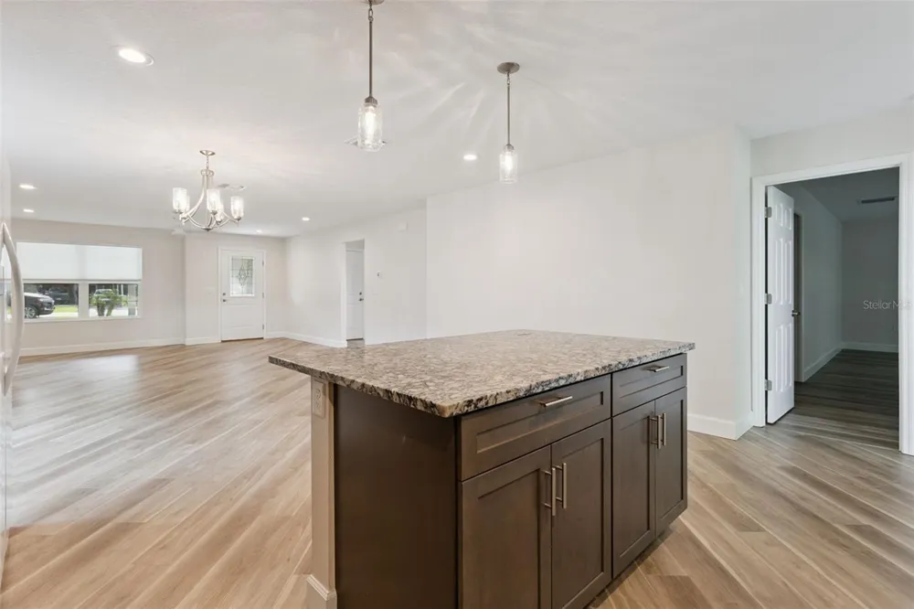 209 JEAN STREET Tavares, FL 32778