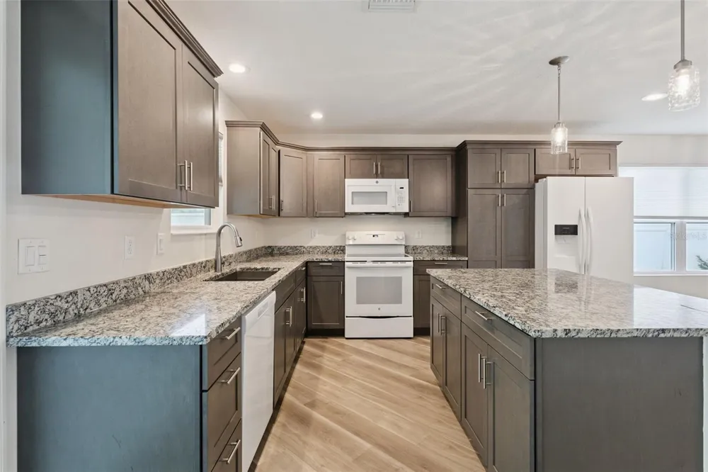 209 JEAN STREET Tavares, FL 32778
