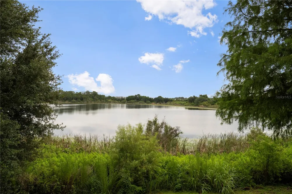 1132 CHARMING STREET Maitland, FL 32751