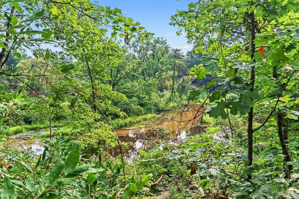 28284 62nd Avenue Antwerp Township, MI 49065