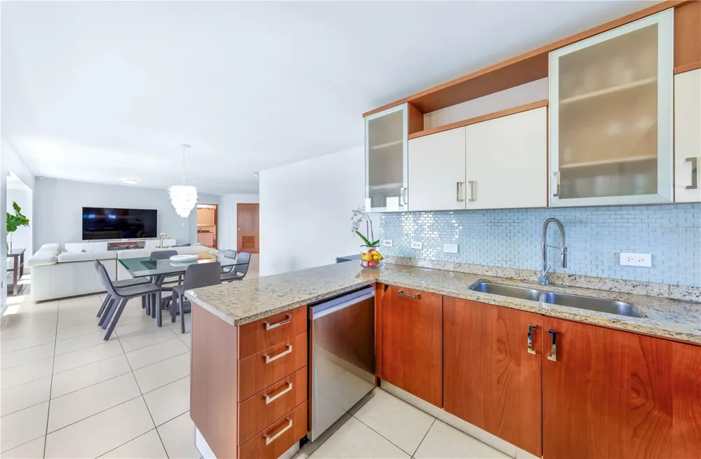 103-105 DE DIEGO AVENUE #2203S San Juan, PR 00911