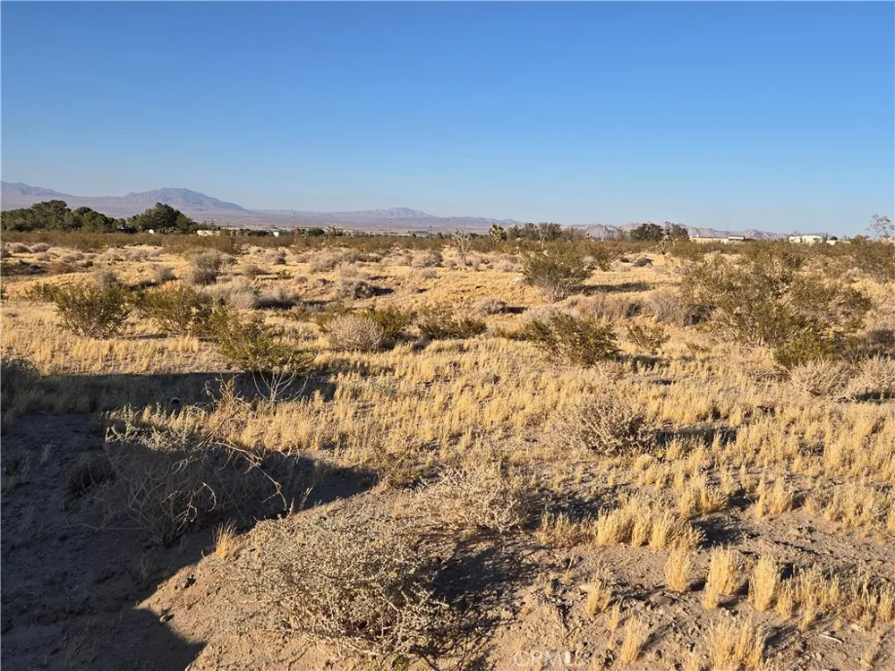 Baker Lucerne Valley, CA 92356