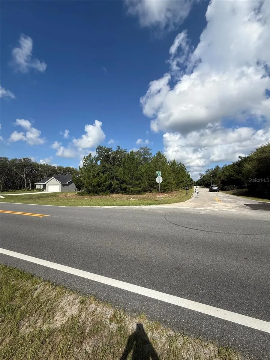0 FISHER TER RUN Ocklawaha, FL 32179