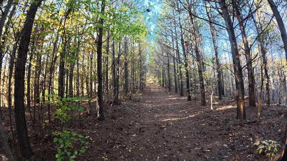 191 Vista Dr Linden, TN 37096