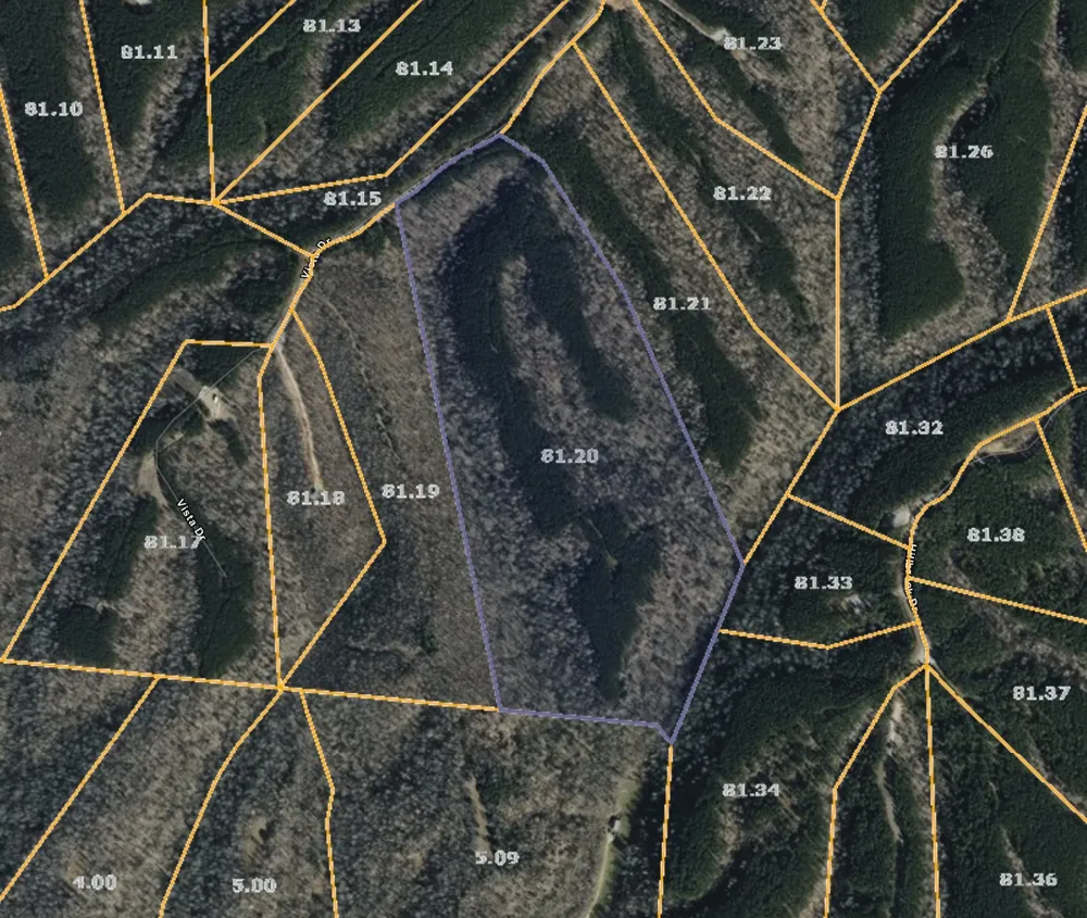 191 Vista Dr Linden, TN 37096