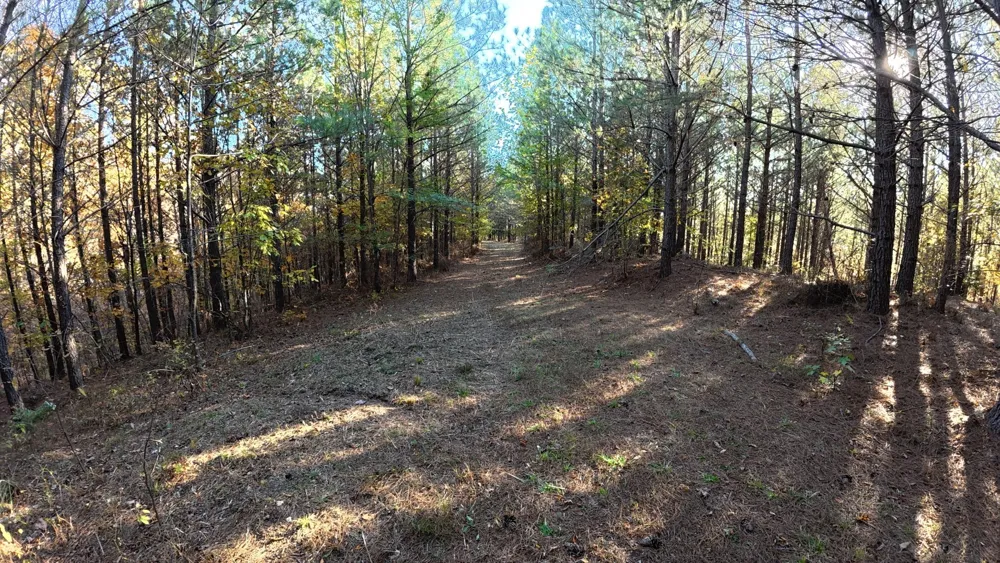 191 Vista Dr Linden, TN 37096