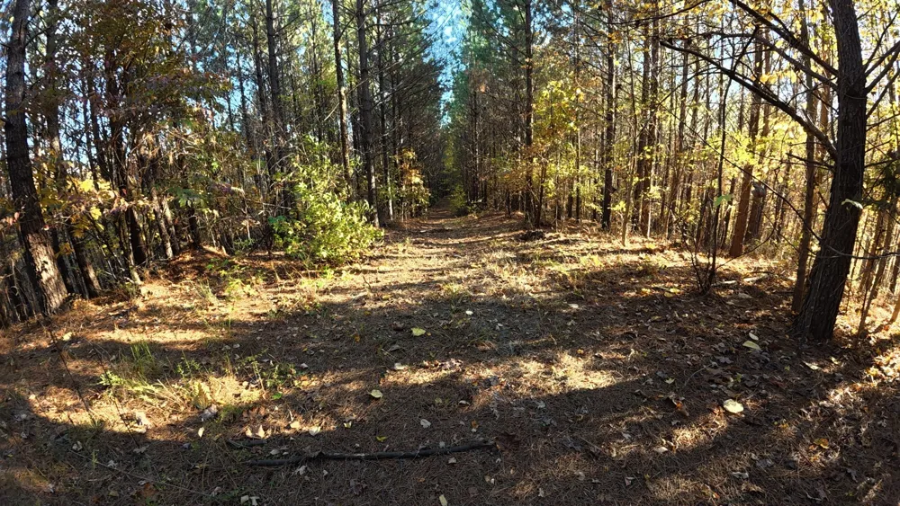 191 Vista Dr Linden, TN 37096