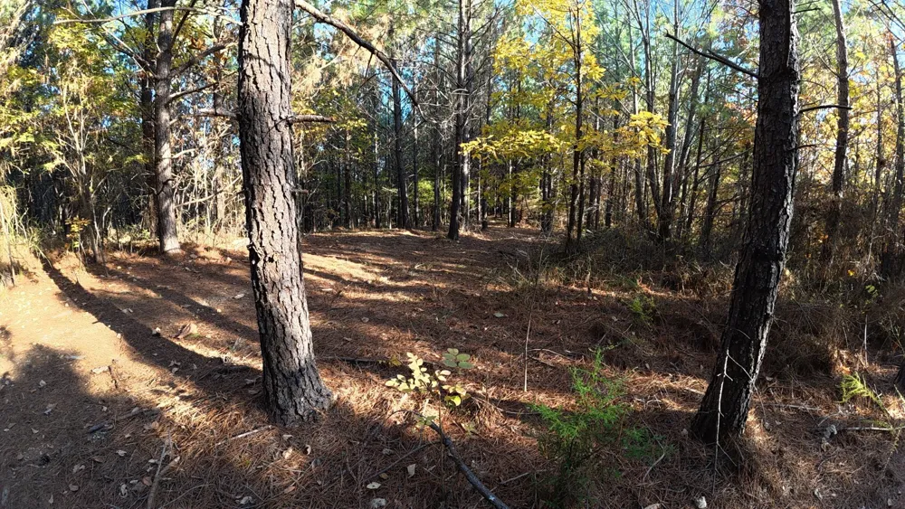 191 Vista Dr Linden, TN 37096