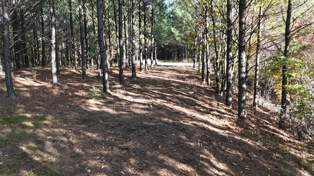 191 Vista Dr Linden, TN 37096