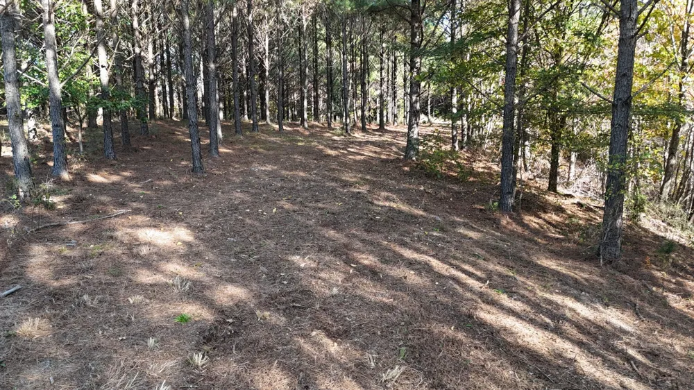 191 Vista Dr Linden, TN 37096