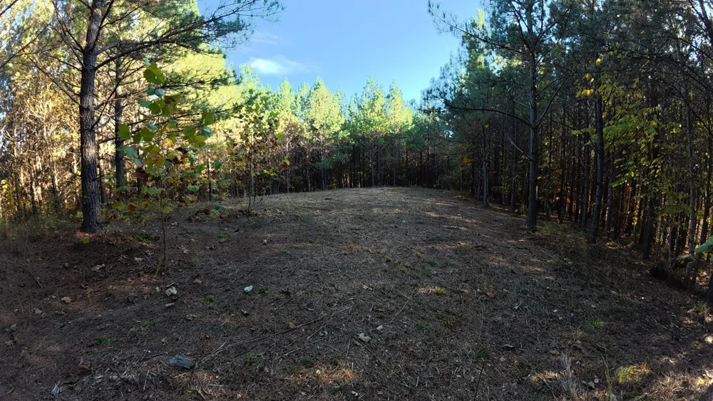191 Vista Dr Linden, TN 37096