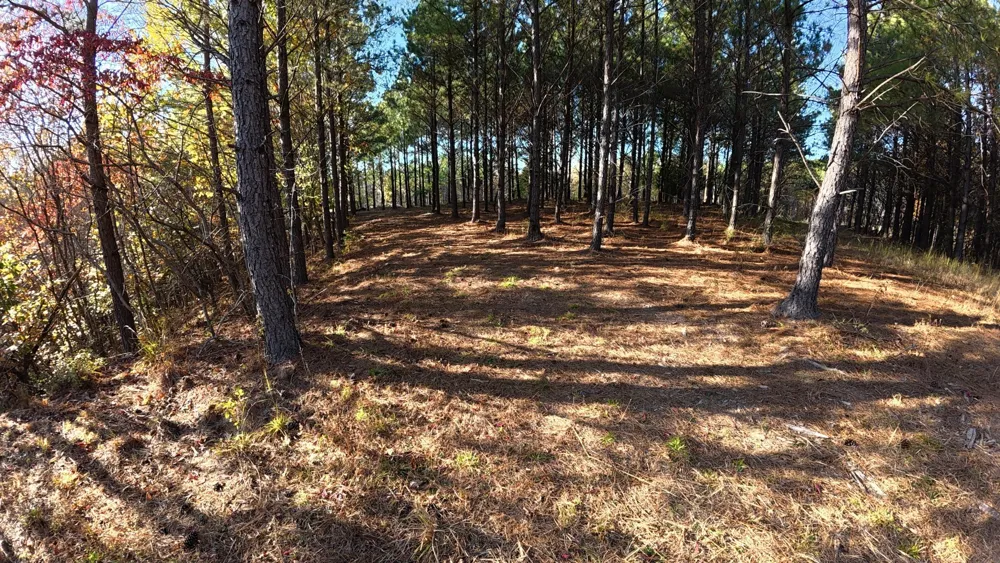191 Vista Dr Linden, TN 37096