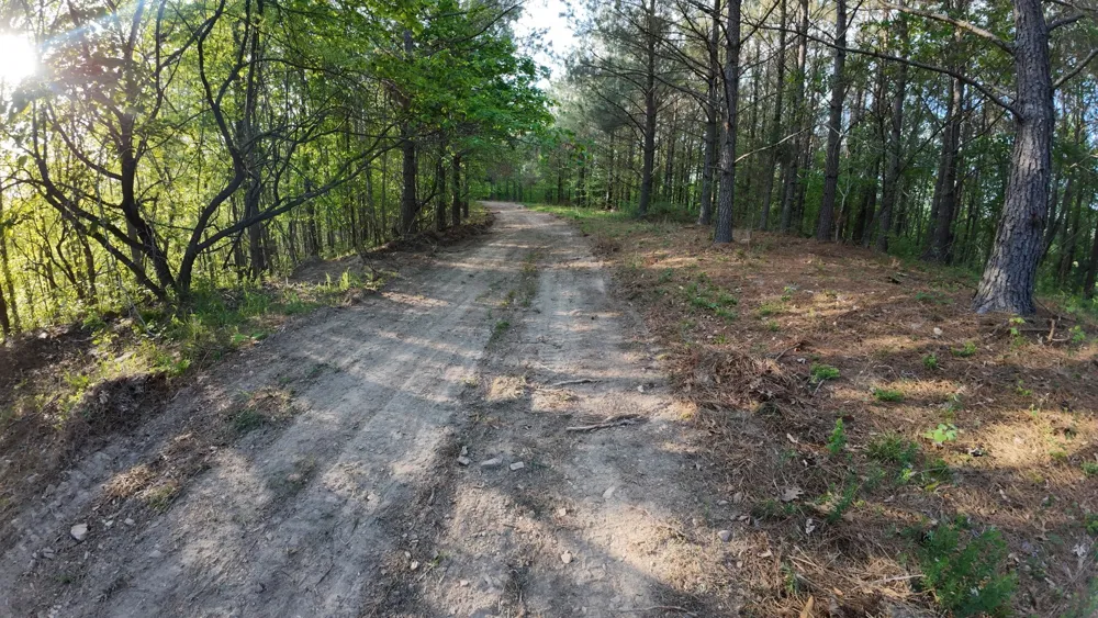 191 Vista Dr Linden, TN 37096