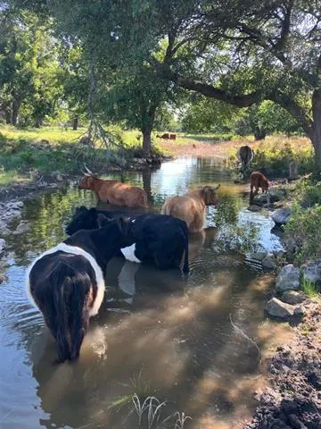 County Road 200 Burnet, TX 78611