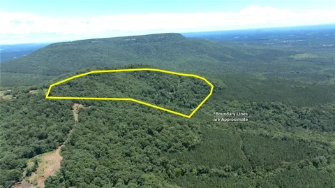 Tater Mountain East
