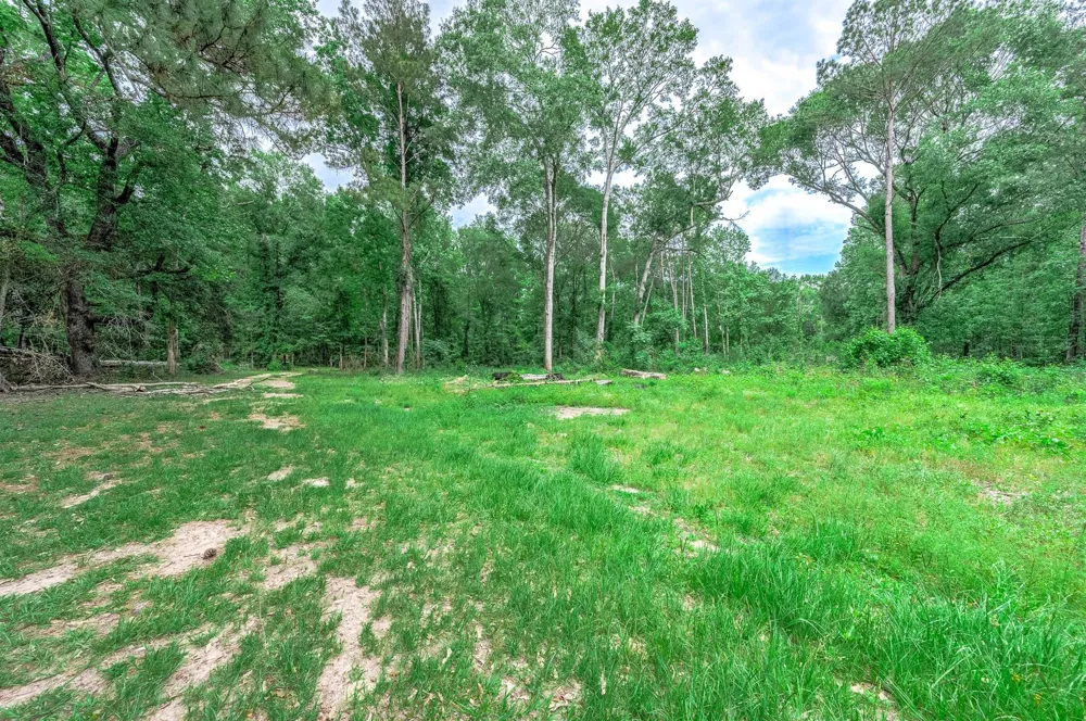 51 Winter Creek Cleveland, TX 77328