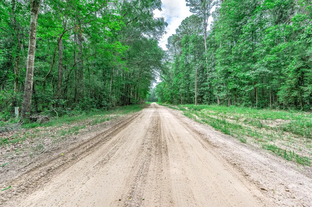 51 Winter Creek Cleveland, TX 77328