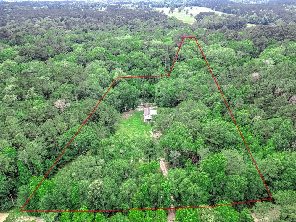 51 Winter Creek Cleveland, TX 77328