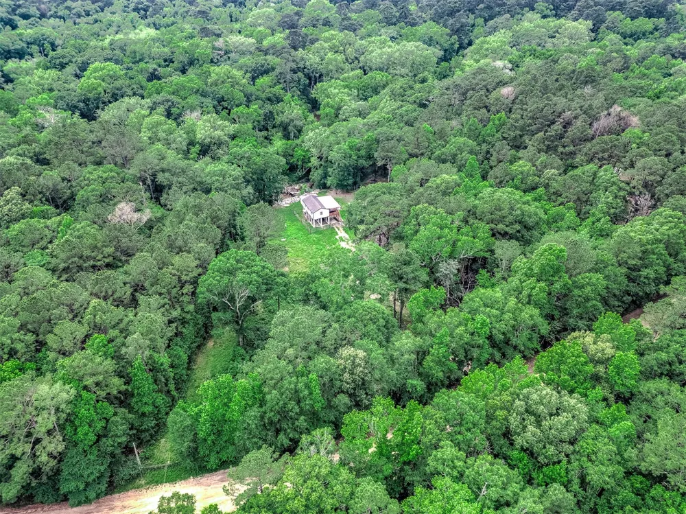 51 Winter Creek Cleveland, TX 77328