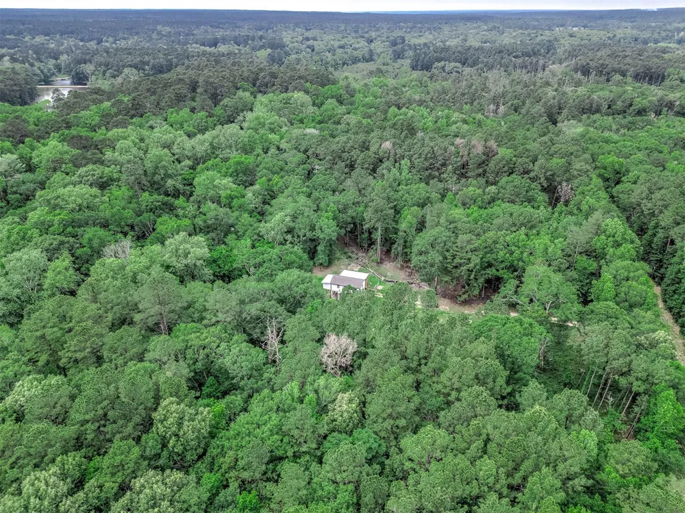 51 Winter Creek Cleveland, TX 77328