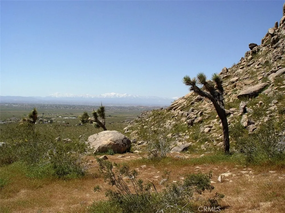 1 Susie Lane Apple Valley, CA 92307