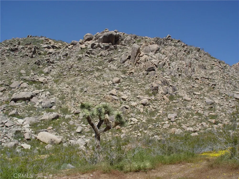 1 Susie Lane Apple Valley, CA 92307