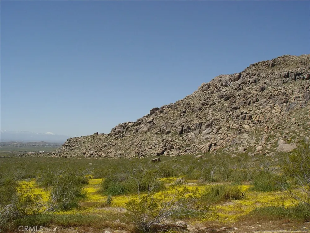 1 Susie Lane Apple Valley, CA 92307