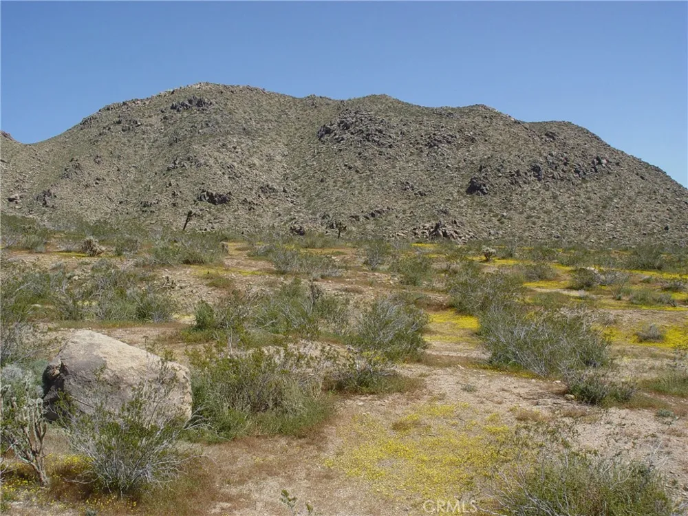 1 Susie Lane Apple Valley, CA 92307