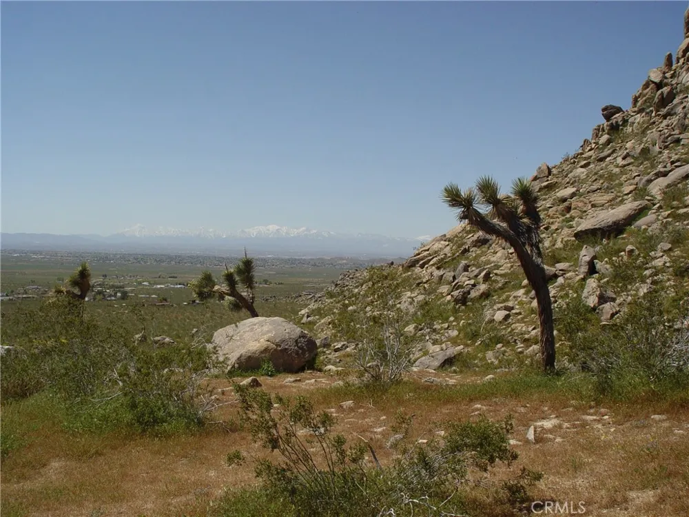 1 Susie Lane Apple Valley, CA 92307