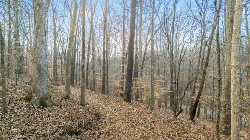745 UNION RIDGE ROAD Wartrace, TN 37183