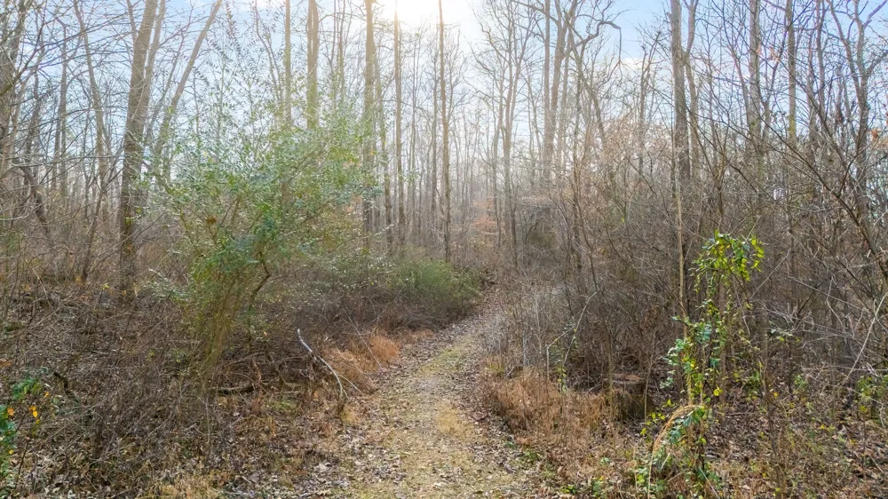 745 UNION RIDGE ROAD Wartrace, TN 37183