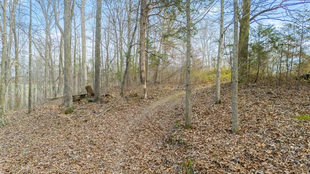 745 UNION RIDGE ROAD Wartrace, TN 37183